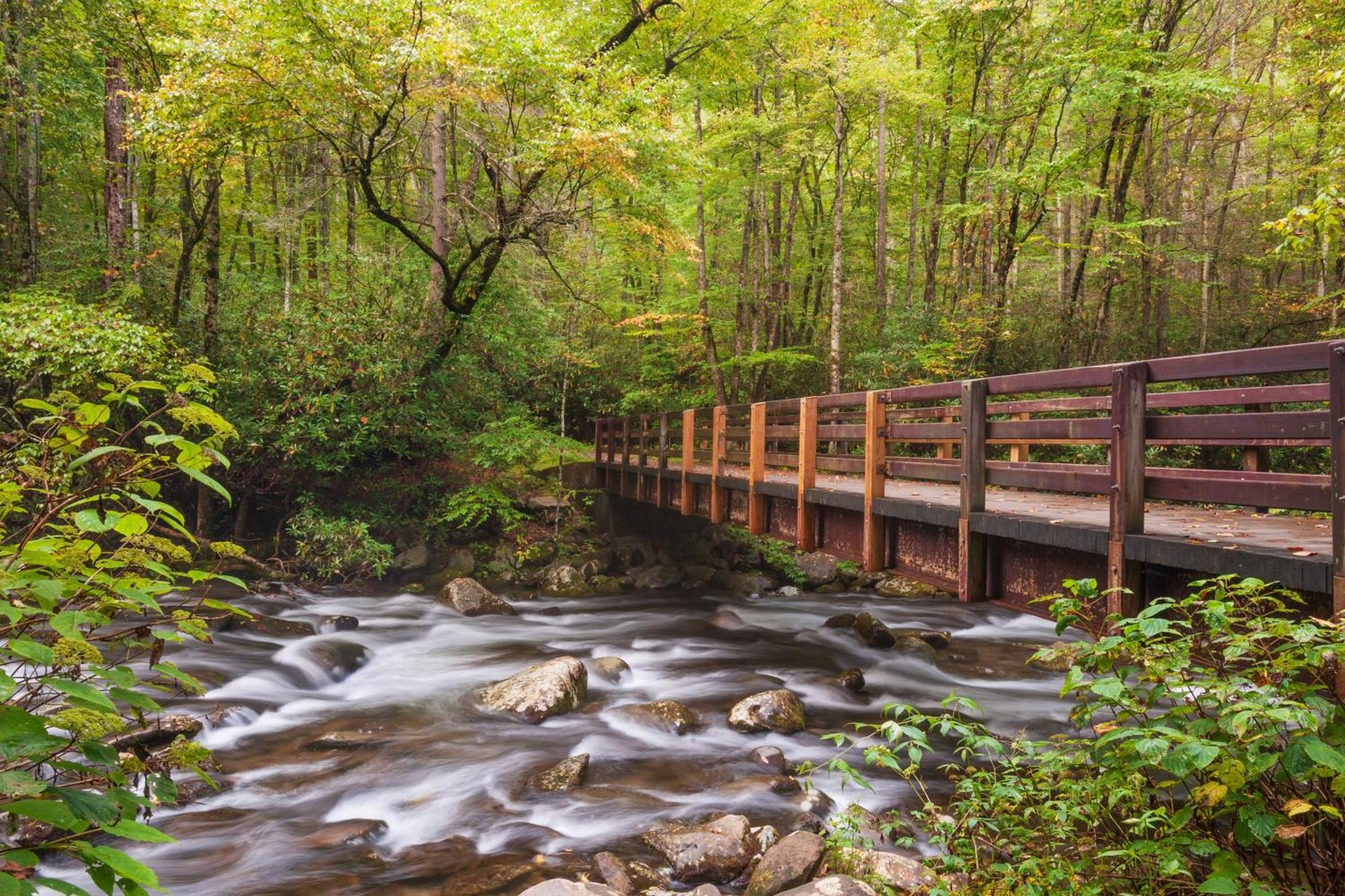 The Tiny Barn, 1089 Free Tickets Each Paid Day, Dollywood And More Sevierville Kültér fotó
